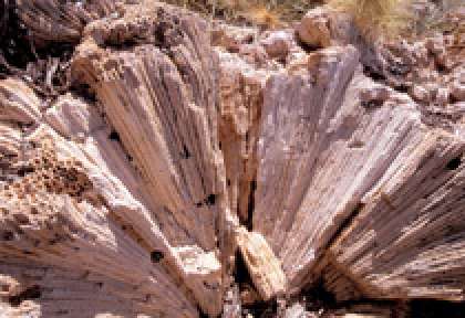 Ningaloo Marine Park - Cape Range National Park